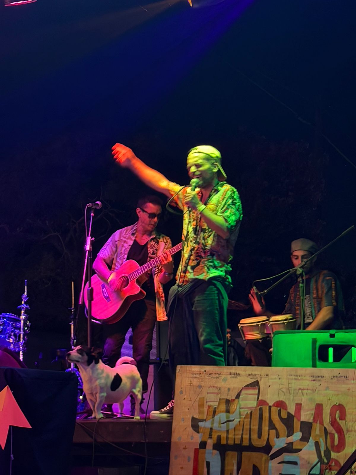 FESTI SOLIDARIO — foto 5